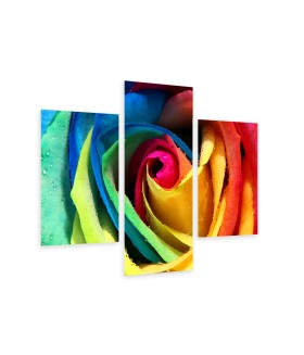 Multi-canvas 3x Rose rainbow